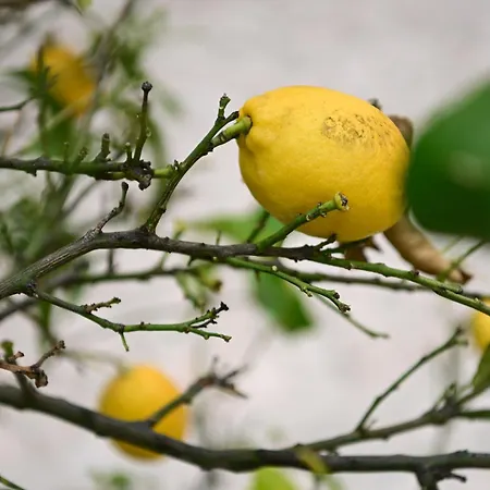 Διαμέρισμα Mba 2 *