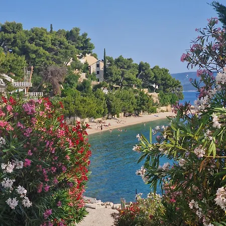 Διαμέρισμα Mba 2 *